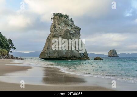 TE Hoho Rock in einem Küstengebiet namens Cathedral Cove Im südlichen Teil der Mercury Bay am Coromandel Halbinsel auf der Nordinsel von Neuseeland Stockfoto