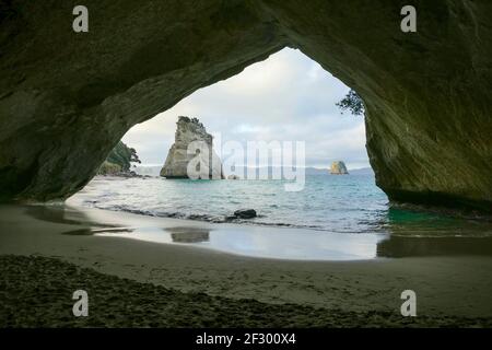 TE Hoho Rock durch einen Felsbogen bei A gesehen Küstengebiet namens Cathedral Cove im südlichen Teil von Mercury Bay auf der Coromandel Peninsula im No Stockfoto