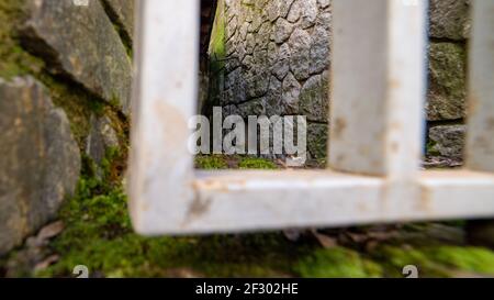 Minimalistische Geometrie im Kontrast zu verdrehtem weißem Eisen, Details der urbanen Landschaft, die uns anonym umgeben. Stockfoto