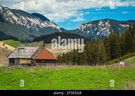 Sommer alpinen ländlichen Ort mit wackeligen Holzhütte und Piatra Craiului Berge im Hintergrund, Pestera Dorf, Siebenbürgen, Rumänien, Europa Stockfoto