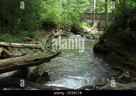 Jefferson National Forest, VA, USA. Brüllender Lauf Bach und Trail überqueren sie. Stockfoto