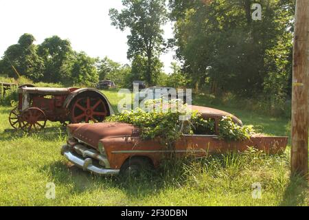 Verlassene, korrodierte Fahrzeuge auf einem Feld in den USA Stockfoto