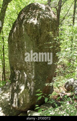 Virginia, USA. Felsbrocken in vertikaler Position bei Indian Gap Rocks entlang des Blue Ridge Parkway. Stockfoto