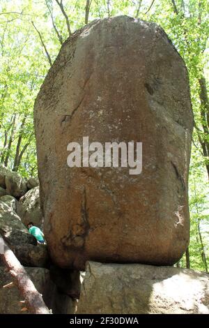 Virginia, USA. Felsbrocken in vertikaler Position bei Indian Gap Rocks entlang des Blue Ridge Parkway. Stockfoto