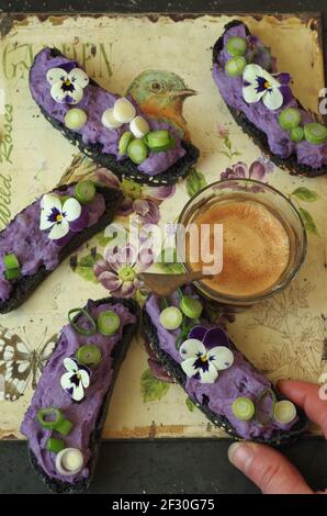 Schwarze Crostini mit Flieder-Vitelotte-Kartoffelcreme-Käse, Zwiebel und gehörnter Stiefmütterchen Stockfoto