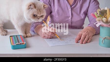 Die Hand älterer Frauen hält einen farbigen Bleistift. Sie malt ein abstraktes Muster aus erwachsenen Malvorlagen. Stockfoto