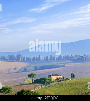 Schöne Landschaft in der Toskana in der Nähe von Montepulciano. Stockfoto