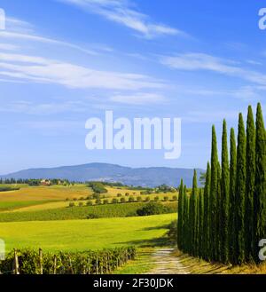 Schöne Landschaft in der Toskana in der Nähe von Montepulciano. Stockfoto