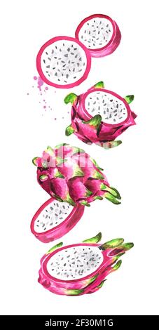 Fallende Pitaya Frucht ganz und schneiden. Drachenfrucht. Handgezeichnete Aquarellillustration, isoliert auf weißem Hintergrund Stockfoto