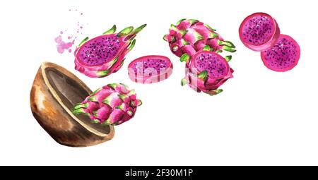 Schüssel mit Pitaya. Rote oder violette Drachenfrucht. Handgezeichnete horizontale Aquarell-Illustration isoliert auf weißem Hintergrund Stockfoto