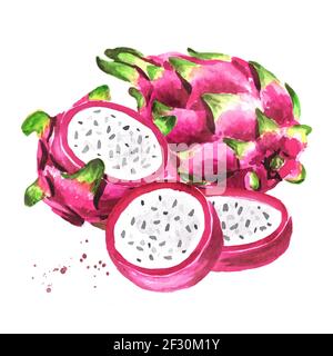 Pitaya Obst ganz und geschnitten. Drachenfrucht. Handgezeichnete Aquarellillustration, isoliert auf weißem Hintergrund Stockfoto