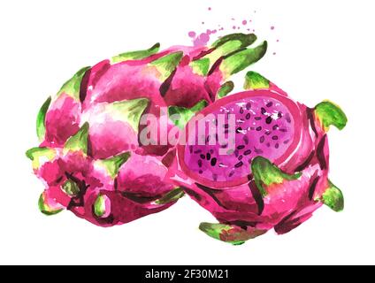 Pitaya Obst ganz und geschnitten. Rote oder violette Drachenfrucht. Handgezeichnete Aquarellillustration isoliert auf weißem Hintergrund Stockfoto
