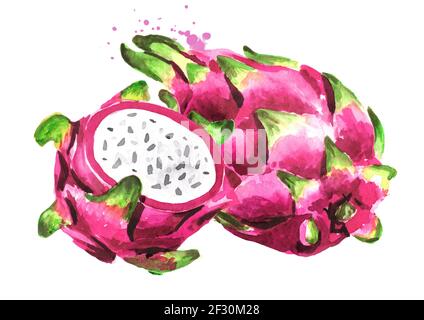 Pitaya Obst ganz und geschnitten. Drachenfrucht. Handgezeichnete Aquarellillustration isoliert auf weißem Hintergrund Stockfoto