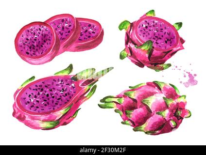 Pitaya Obst ganz und geschnitten. Rotes oder violettes Drachenfrucht-Set. Handgezeichnete Aquarellillustration isoliert auf weißem Hintergrund Stockfoto