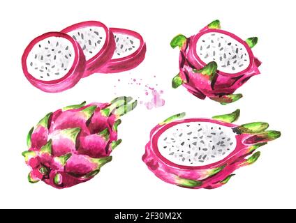 Pitaya Obst ganz und geschnitten. Dragon Fruit Set. Handgezeichnete Aquarellillustration isoliert auf weißem Hintergrund Stockfoto