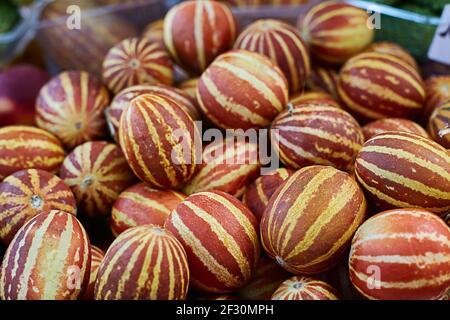 Viele vietnamesisch gestreifte Ananas Mini-Melonen. Stockfoto