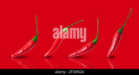 Kleine rote Chilischoten in einer Reihe angeordnet Ein roter Hintergrund Stockfoto