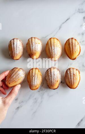 Nahaufnahme von oben von acht hausgemachten madeleine-Kuchen, weibliche Hand greift ein Stück, auf weißem Marmor Hintergrund, mit Kopierraum Stockfoto
