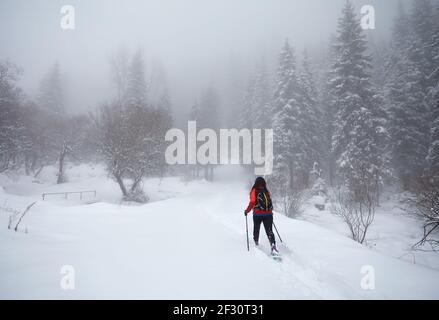 Frau, die mit Schauschuhen unterwegs ist in den Winter verschneiten Wald in Almaty, Kasachstan Stockfoto