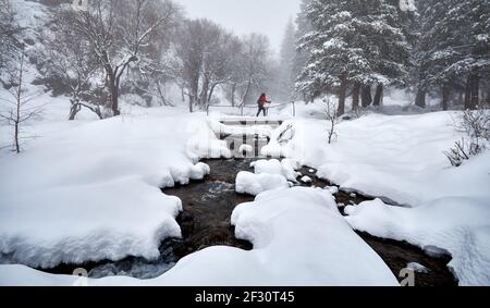 Frau mit Schauschuhen überquert die Brücke über den Fluss im winterverschneiten Wald in Almaty, Kasachstan Stockfoto