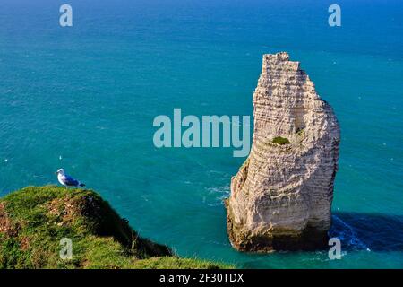 Frankreich, seine-Maritime (76), Pays de Caux, Côte d'Albâtre, Etretat, Die Klippe von Aval, die Aiguille (Nadel) Stockfoto