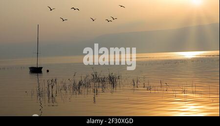 Sonnenaufgang über dem See. Boot schwimmt auf dem ruhigen Wasser unter herrlichem Sonnenuntergang. Stockfoto