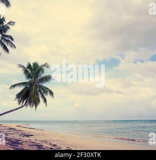 Karibisches Meer und grüne Palmen am weißen tropischen Strand. Stockfoto