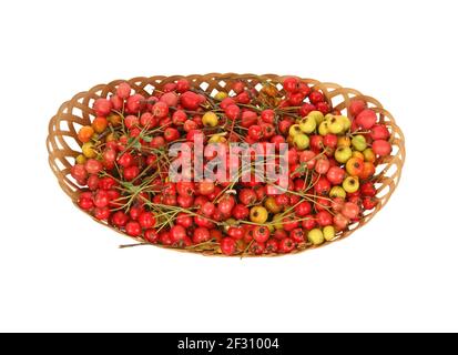 Weißdornbeeren in einem Weidenkorb auf weißem Hintergrund Stockfoto