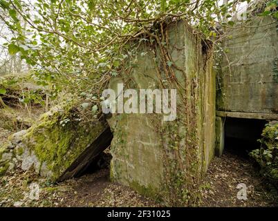 Hardtwald Batterie WW2 bleibt, karlsruhe, Deutschland Stockfoto