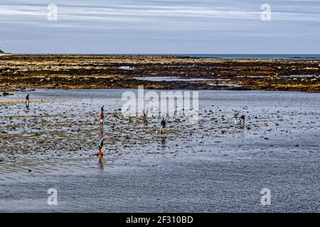 Angeln zu Fuß in der Bretagne Stockfoto