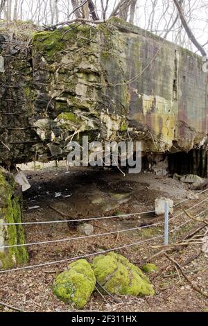 Hardtwald Batterie WW2 bleibt, karlsruhe, Deutschland Stockfoto