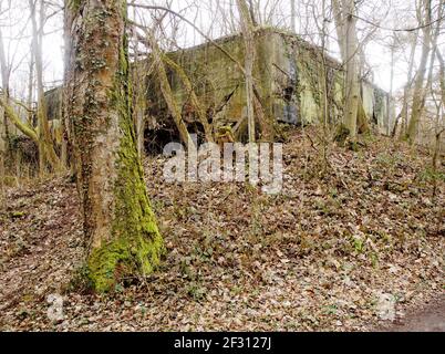 Hardtwald Batterie WW2 bleibt, karlsruhe, Deutschland Stockfoto