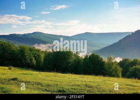 Bergwiese im Morgenlicht. Landschaft Frühlingslandschaft mit Tal im Nebel hinter dem Wald auf dem grasbewachsenen Hügel. Flauschige Wolken auf einem hellen Stockfoto