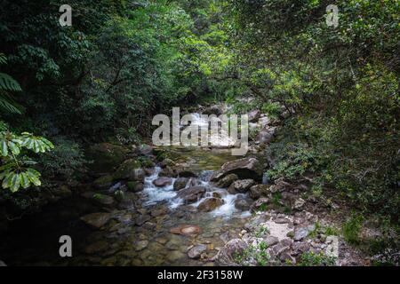 Ein Bach im Dschungel des Daintree National Park in Queensland, Australien Stockfoto