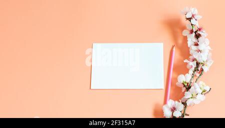 Zweig der Frühling blühenden Mandel, rosa pensil und Blatt Papier auf dem rosa Hintergrund. Mockup-Vorlage, weiß leer. Frühlingskonzept, Mandel blo Stockfoto