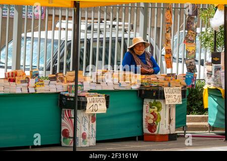 El Alto, La Paz, Bolivien - Februar 11 2021: Bolivianische indigene Frau, die Raubbücher auf der Straße verkauft Stockfoto