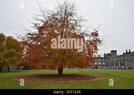 Herbstlandschaft mit Panoramablick auf Kilkenny Castle und die umliegenden Gärten in Kilkenny, Leinster Irland. Stockfoto