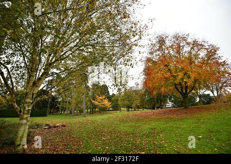 Herbstlandschaft mit landschaftlicher Aussicht auf das Kilkenny Castle, das die Gärten in der Grafschaft Kilkenny, Leinster Irland umgibt. Stockfoto