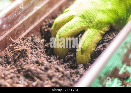 Nahaufnahme von fruchtbarem Boden zum Pflanzen von Gemüse und Kräutern Stockfoto