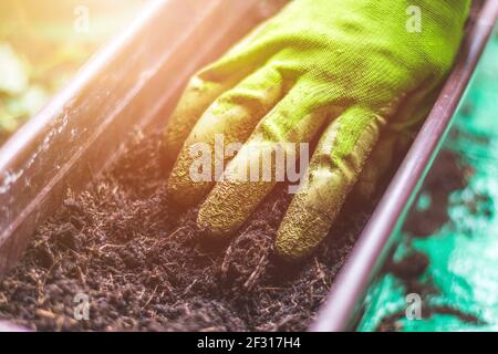 Nahaufnahme von fruchtbarem Boden zum Pflanzen von Gemüse und Kräutern Stockfoto