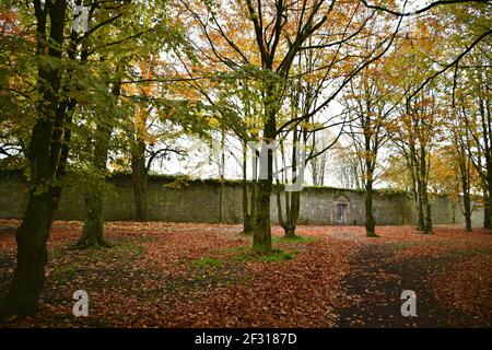 Herbstlandschaft mit Panoramablick auf die Steinmauer und Gärten von Kilkenny Castle in Kilkenny, Leinster Irland. Stockfoto