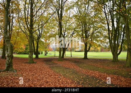 Herbstlandschaft mit landschaftlicher Aussicht auf das Kilkenny Castle, das die Gärten in der Grafschaft Kilkenny, Leinster Irland umgibt. Stockfoto