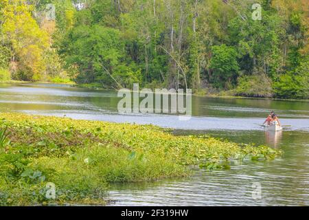 Der schöne Wekiwa Fluss langsam durch Wekiwa Springs State Park in Opapka, Seminole County, Florida Stockfoto