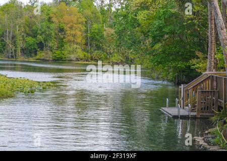 Der schöne Wekiwa Fluss langsam durch Wekiwa Springs State Park in Opapka, Seminole County, Florida Stockfoto