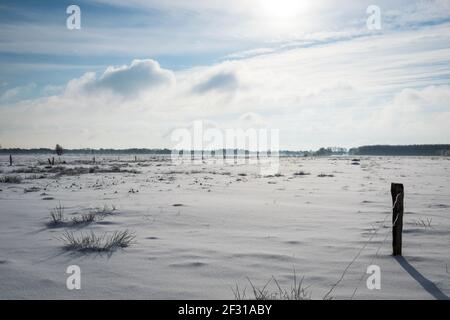 Eine Winterlandschaft von Feldern bedeckt mit Schnee unter dem Blauer Himmel Stockfoto