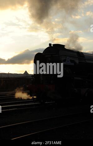 „Tornado“ auf dem Schuppen. Stockfoto