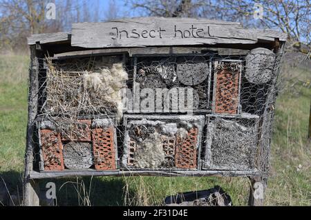 Ein Nest für eine Vielzahl von Insekten aus verschiedenen Materialien an einem warmen und sonnigen Frühlingstag. Stockfoto