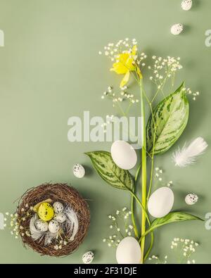 Ostern, Frühlingskomposition mit Blumen, Nest und weißen Eiern auf grünem Hintergrund mit Kopierraum. Draufsicht, vertikal, Federbanner mit Narzissen und Stockfoto