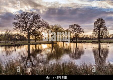 Teiche mit Spiegelungen von Wolken und Sonnenaufgang im Bushy Park Surrey im März, wenn auf öffentlichen oder privaten Eigentum I Bin bereit, volle verantwortung zu übernehmen Stockfoto