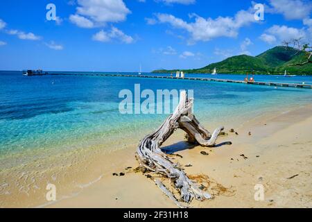 Frankreich, Westindien, Martinique, Sainte-Anne, Pointe Marin Strand Stockfoto